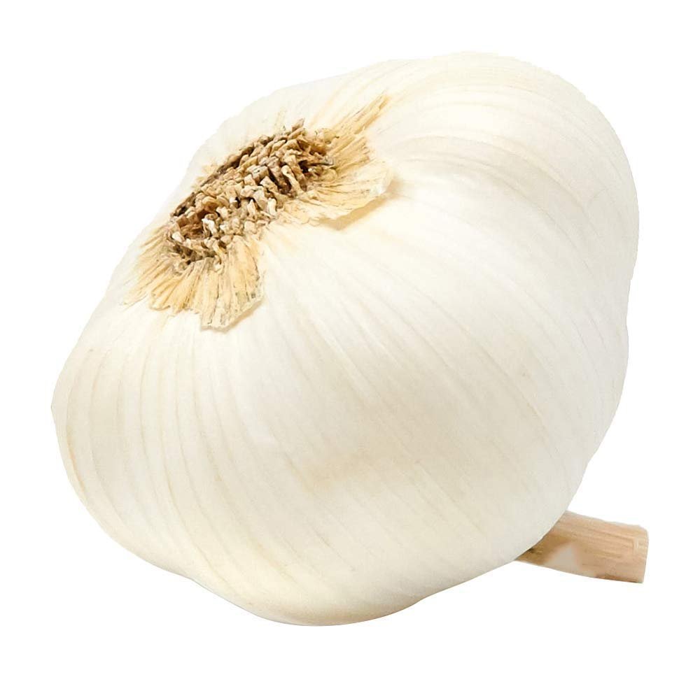 Tungurusumu 500g Garlic 500g