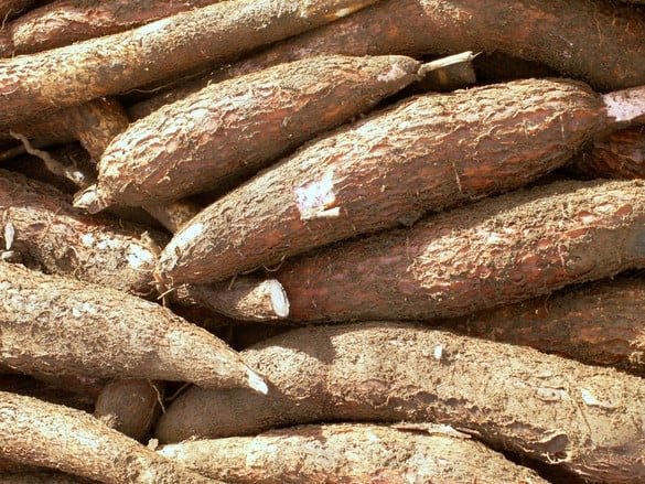 Imyumbati mibisi 2kg Yera neza, yoroshye guteka