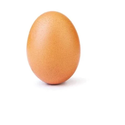 Amagi, igi Egg ,pondeuse